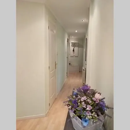 Piso En Avenida Pumarin . Wifi